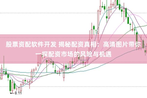 股票资配软件开发 揭秘配资真相：高清图片带你一探配资市场的风险与机遇