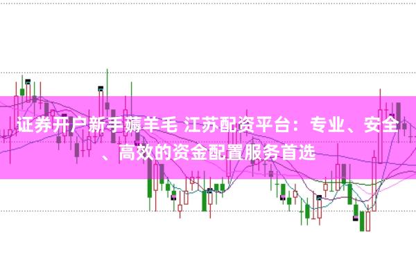 证券开户新手薅羊毛 江苏配资平台：专业、安全、高效的资金配置服务首选