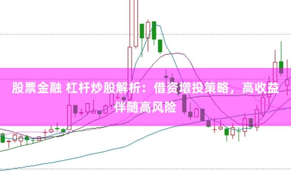 股票金融 杠杆炒股解析：借资增投策略，高收益伴随高风险