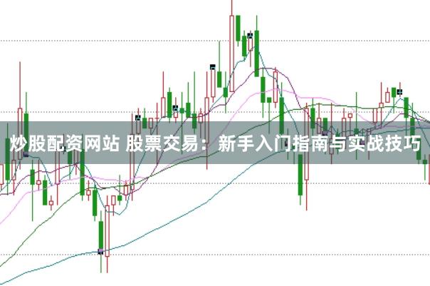 炒股配资网站 股票交易：新手入门指南与实战技巧