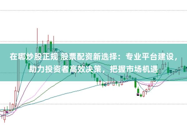 在哪炒股正规 股票配资新选择：专业平台建设，助力投资者高效决策，把握市场机遇