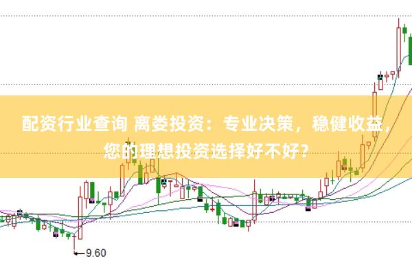 配资行业查询 离娄投资：专业决策，稳健收益，您的理想投资选择好不好？
