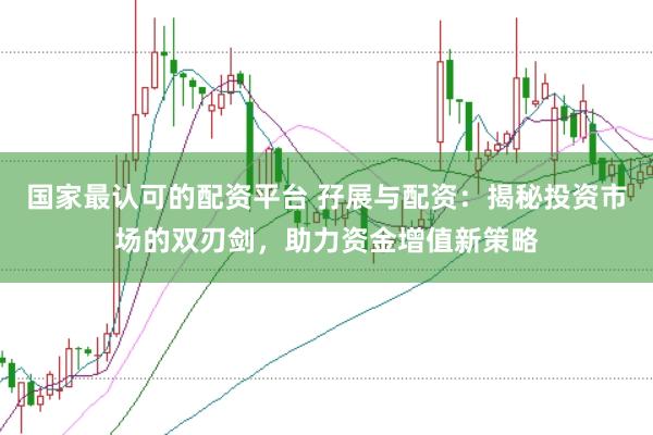 国家最认可的配资平台 孖展与配资：揭秘投资市场的双刃剑，助力资金增值新策略