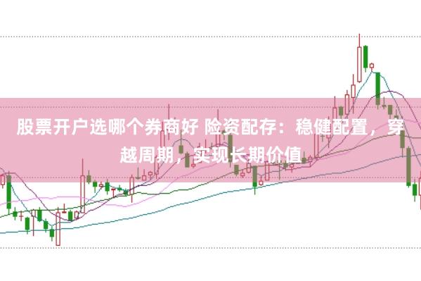 股票开户选哪个券商好 险资配存：稳健配置，穿越周期，实现长期价值