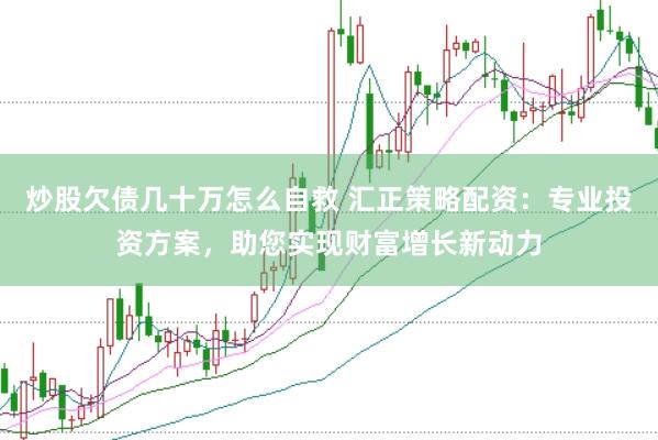 炒股欠债几十万怎么自救 汇正策略配资：专业投资方案，助您实现财富增长新动力