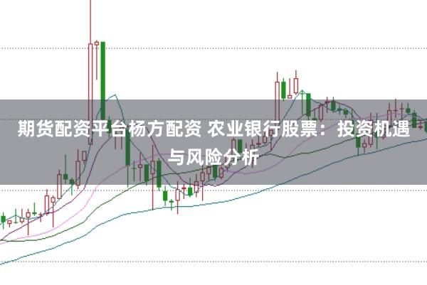 期货配资平台杨方配资 农业银行股票：投资机遇与风险分析