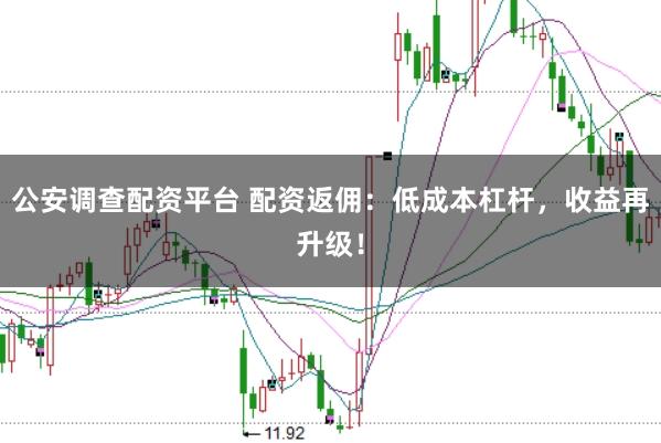 公安调查配资平台 配资返佣：低成本杠杆，收益再升级！
