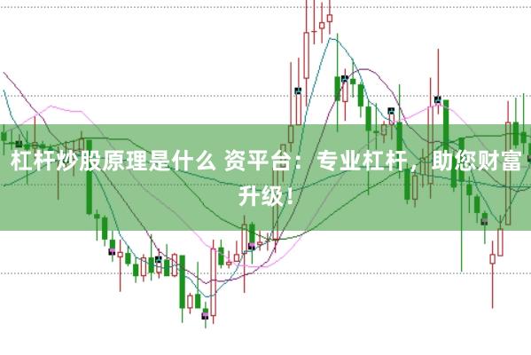 杠杆炒股原理是什么 资平台：专业杠杆，助您财富升级！