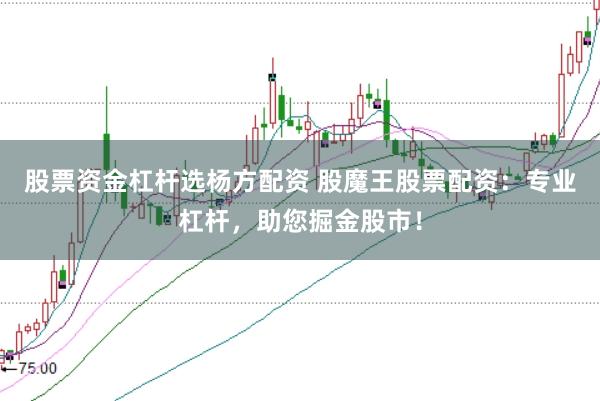 股票资金杠杆选杨方配资 股魔王股票配资：专业杠杆，助您掘金股市！