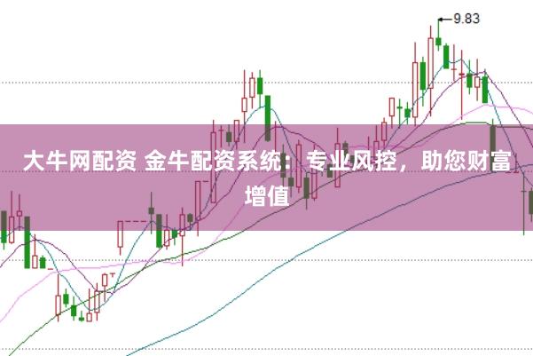 大牛网配资 金牛配资系统：专业风控，助您财富增值