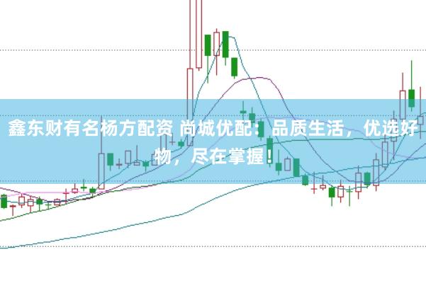 鑫东财有名杨方配资 尚城优配：品质生活，优选好物，尽在掌握！