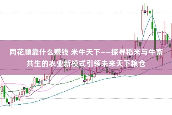 同花顺靠什么赚钱 米牛天下——探寻稻米与牛畜共生的农业新模式引领未来天下粮仓