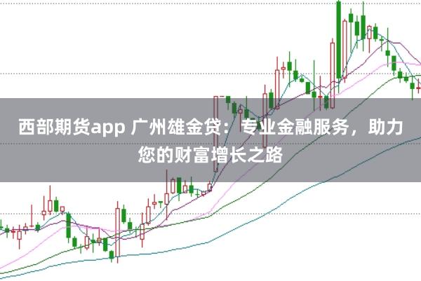西部期货app 广州雄金贷：专业金融服务，助力您的财富增长之路