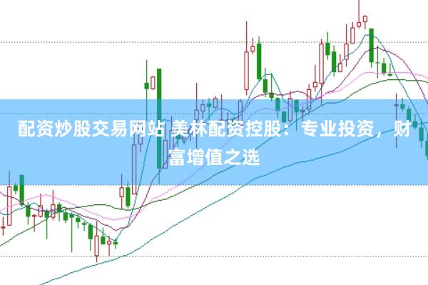 配资炒股交易网站 美林配资控股：专业投资，财富增值之选