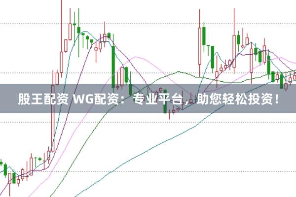 股王配资 WG配资：专业平台，助您轻松投资！